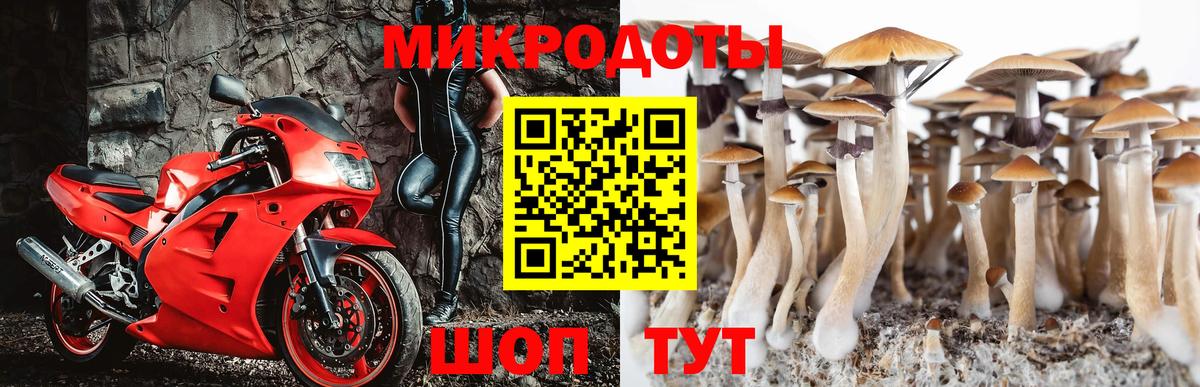 Псилоцибиновые грибы прущие грибы Мирный